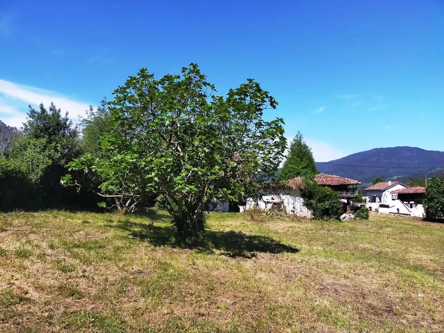 Terreni e lotti in vendita a Pravia, imagen 11