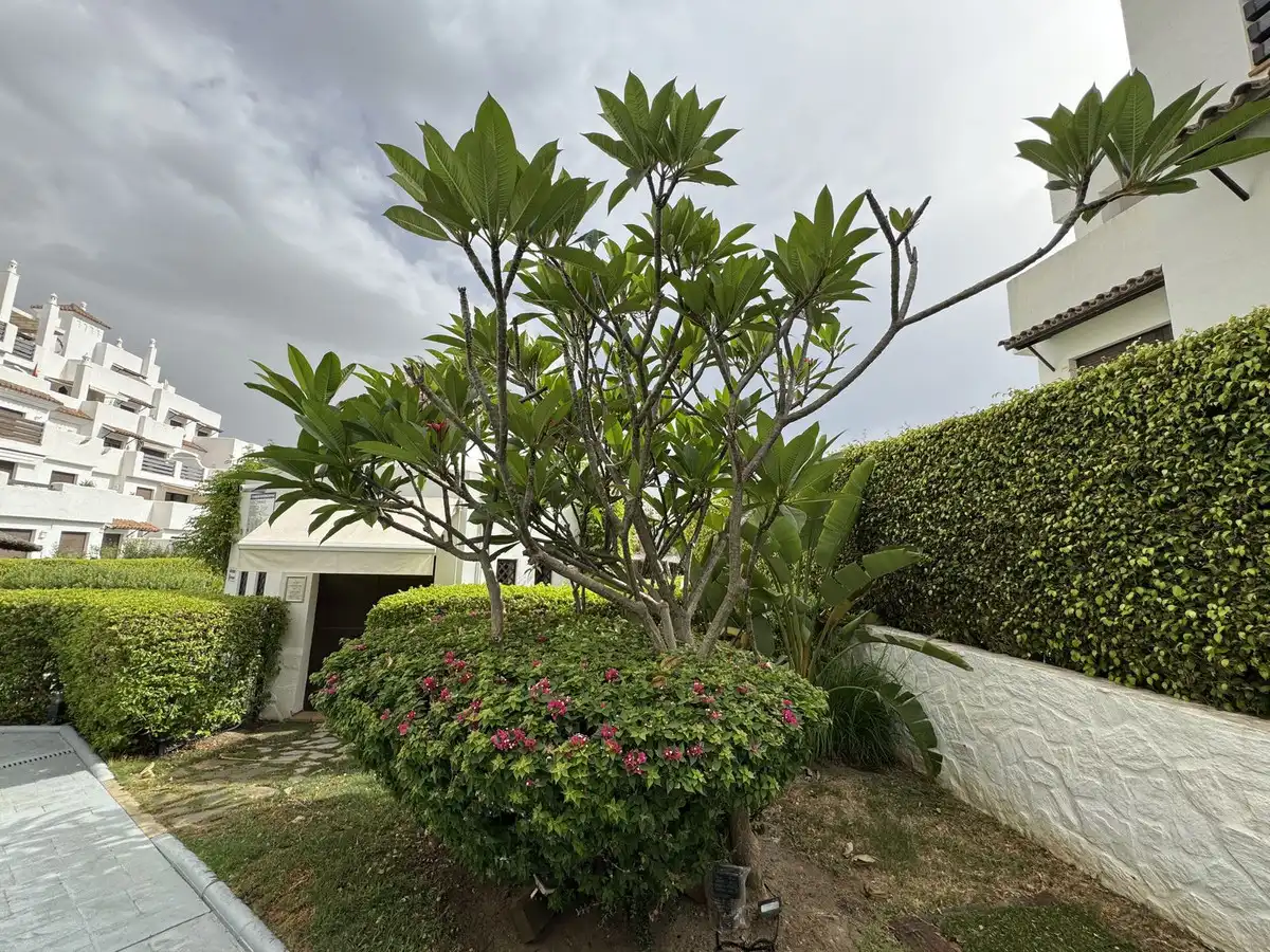Apartment mit Aufzug zum Verkauf in Estepona Pueblo, imagen 23