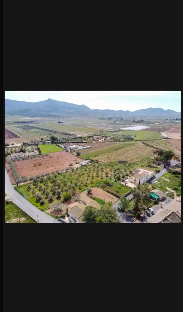 Rural land for sale in Hondón de las Nieves / El Fondó de les Neus, imagen 4