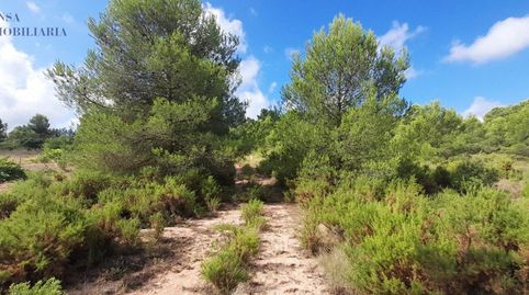 Parcela de terreno en los Pedrones, immagine 5