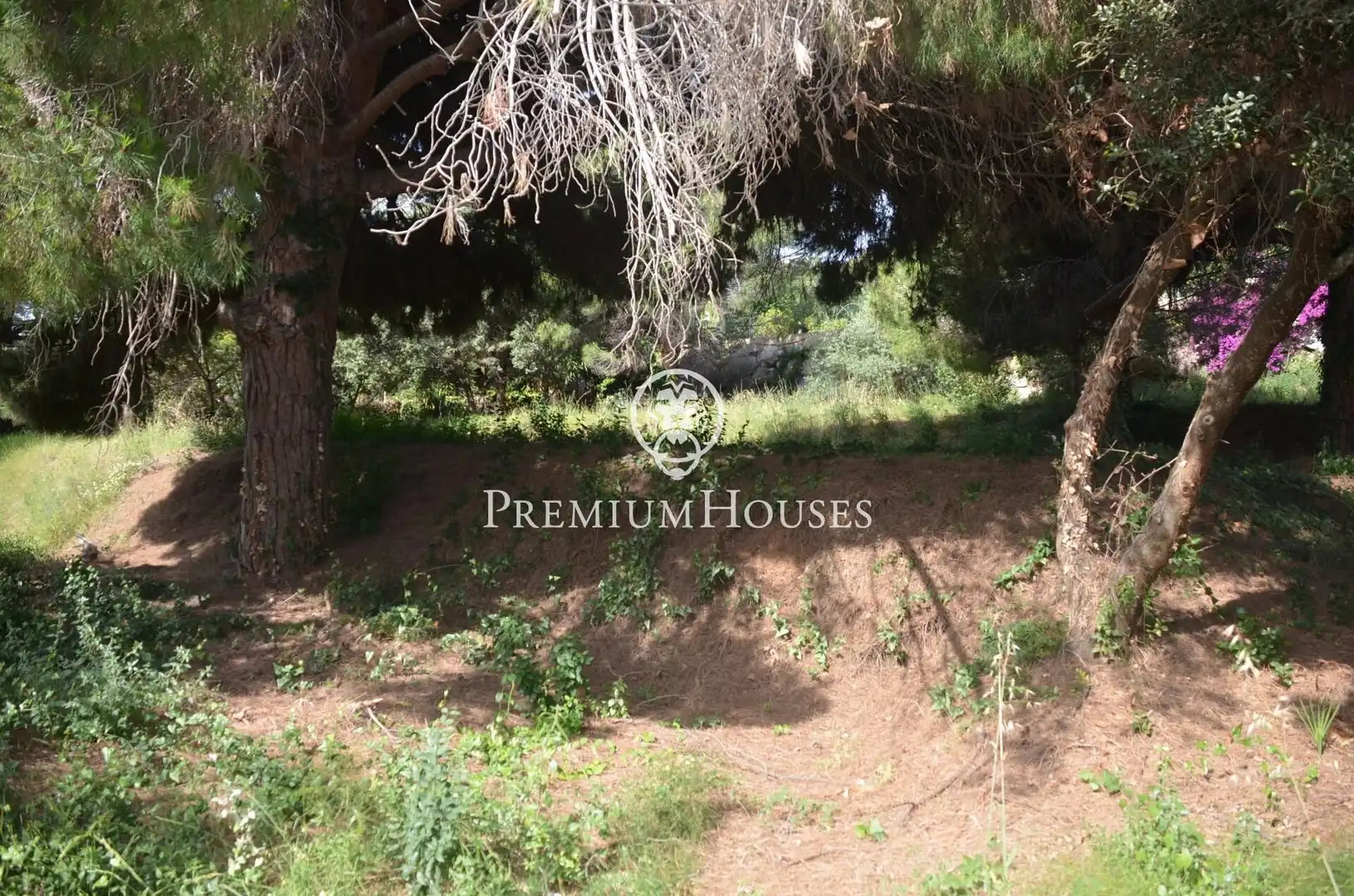 Residential land for sale in Cabrera de Mar, imagen 18