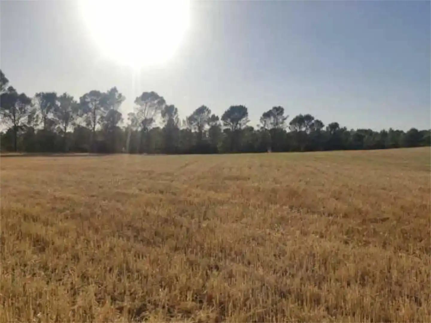 Terreno en venta en Alcocer