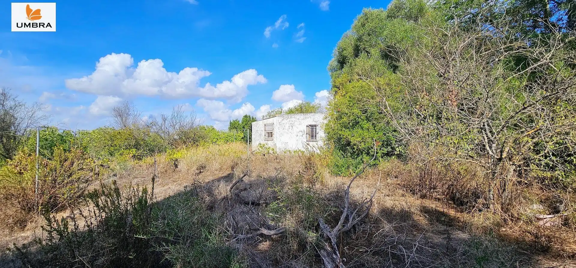 Houses for sale in Jerez de la Frontera