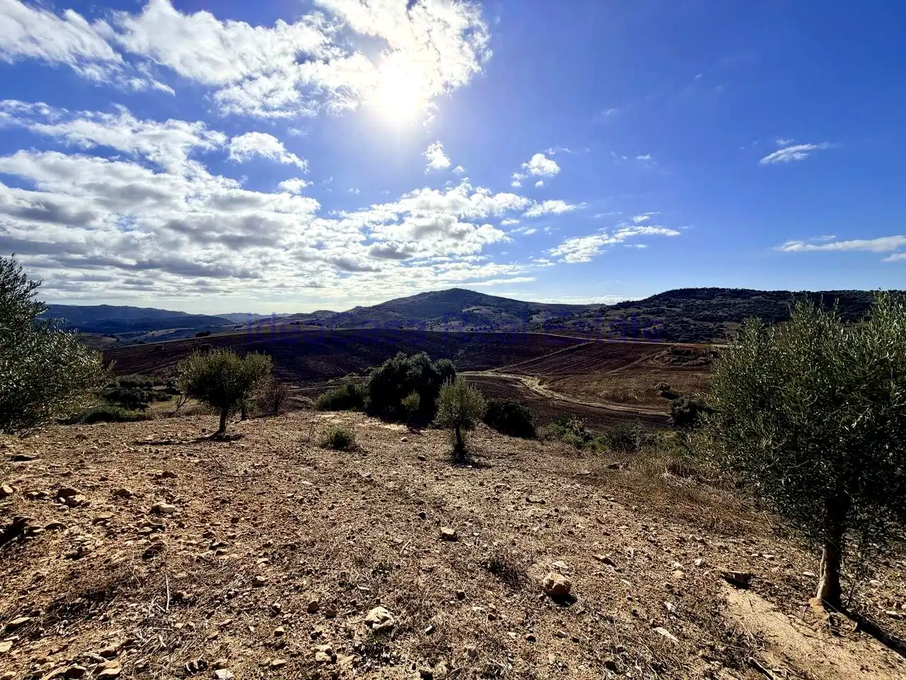 Finca rústica en venda a Diseminado Poligono, Villanueva de la Concepción
