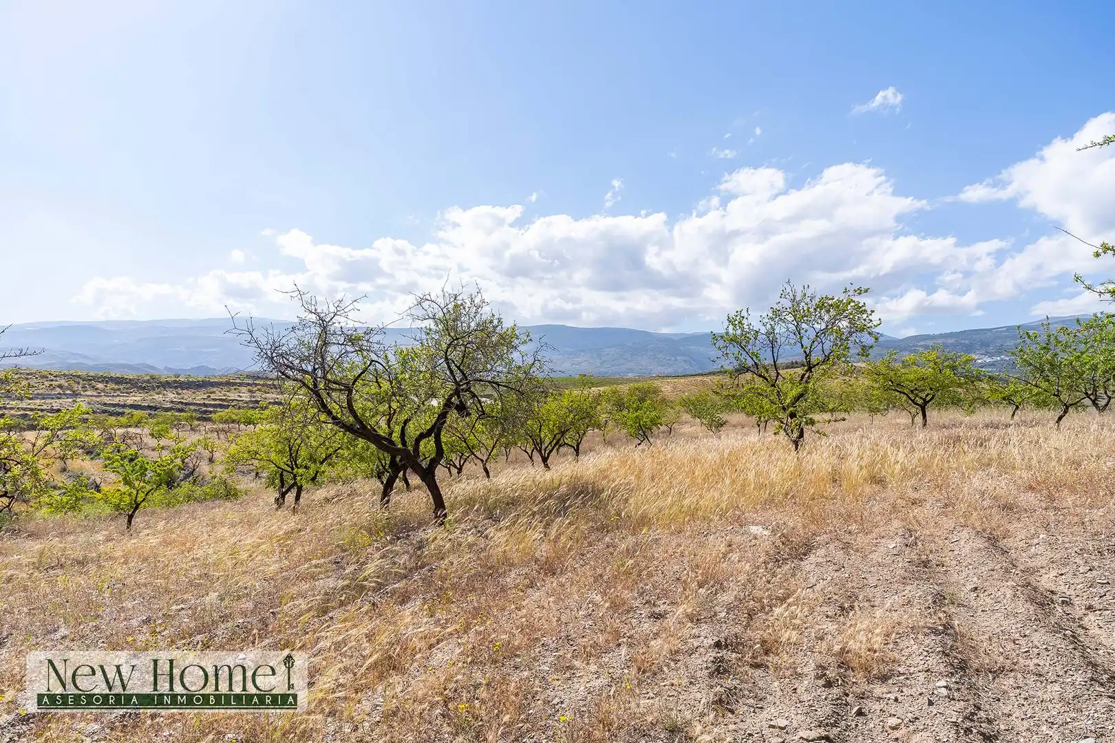 Finca rústica en venta en Ugíjar