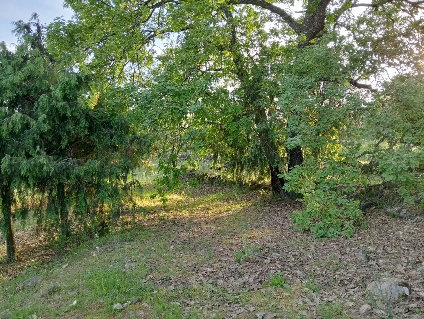 Terreno en venta en Villanueva de la Vera