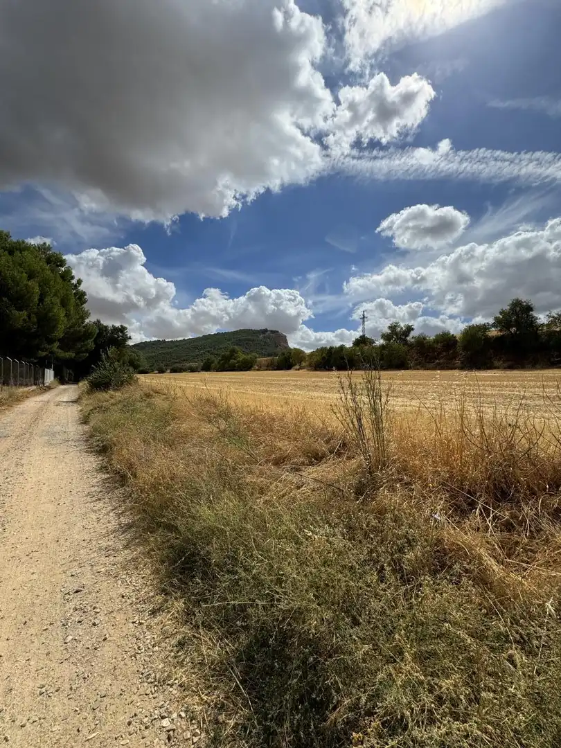 Rural land for sale in Sitio Paraisos, imagen 6