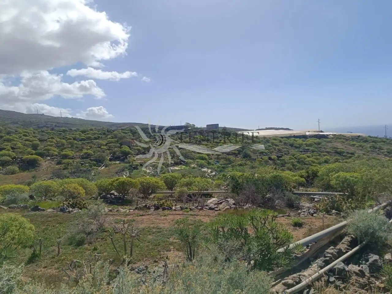 Terreny rústic en venda a General Piedra Hincada A Tejina 89, imagen 12