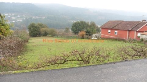 REF 2666 SOLAR PARCELABLE 2531 m2 MOS, immagine 2
