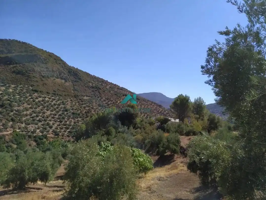 Casa rústica en venda a Fuensanta de Martos, imagen 11