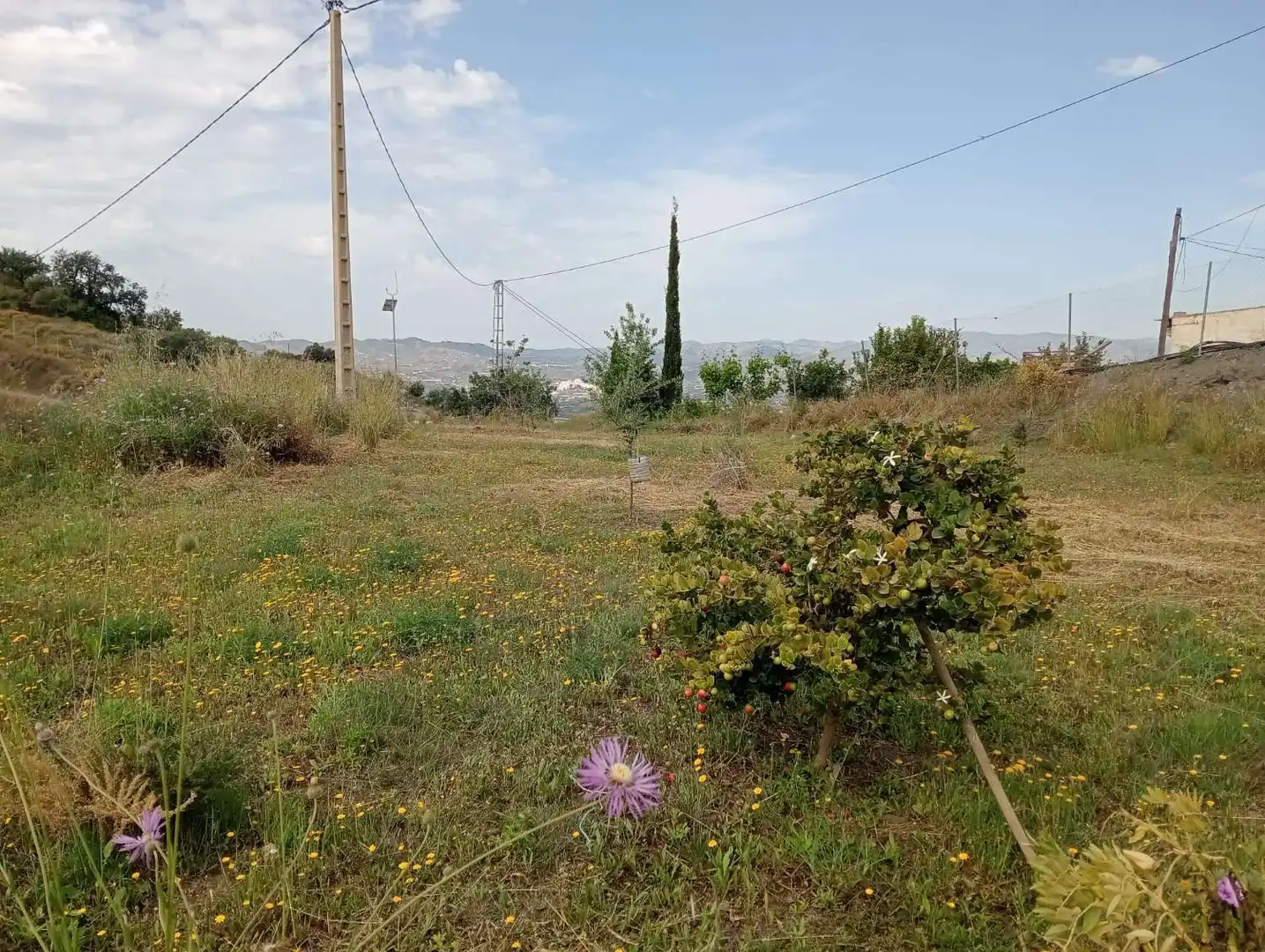 Casa rústica en venda a Vélez-Málaga ciudad, imagen 6
