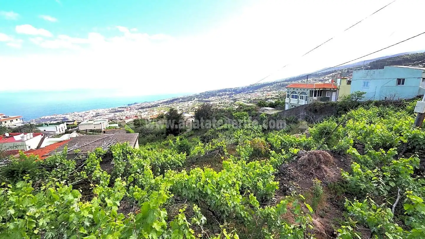 Lands and plots for sale in La Vega - El Amparo - Cueva del Viento