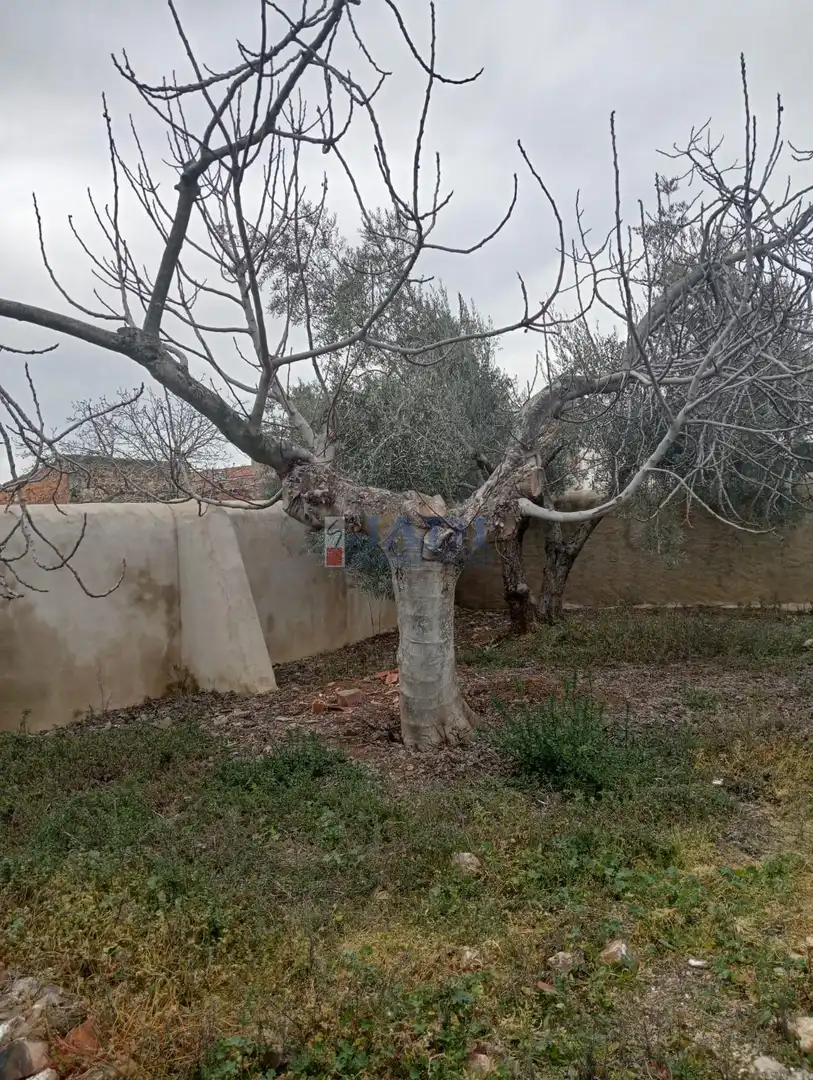 Casa en venda a Viso del Marqués, imagen 9