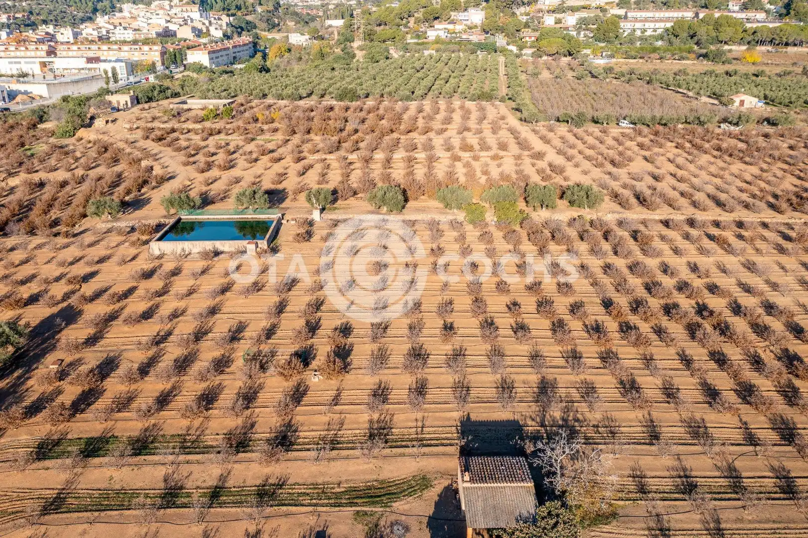 Finca rústica en venta en Castellvell del Camp