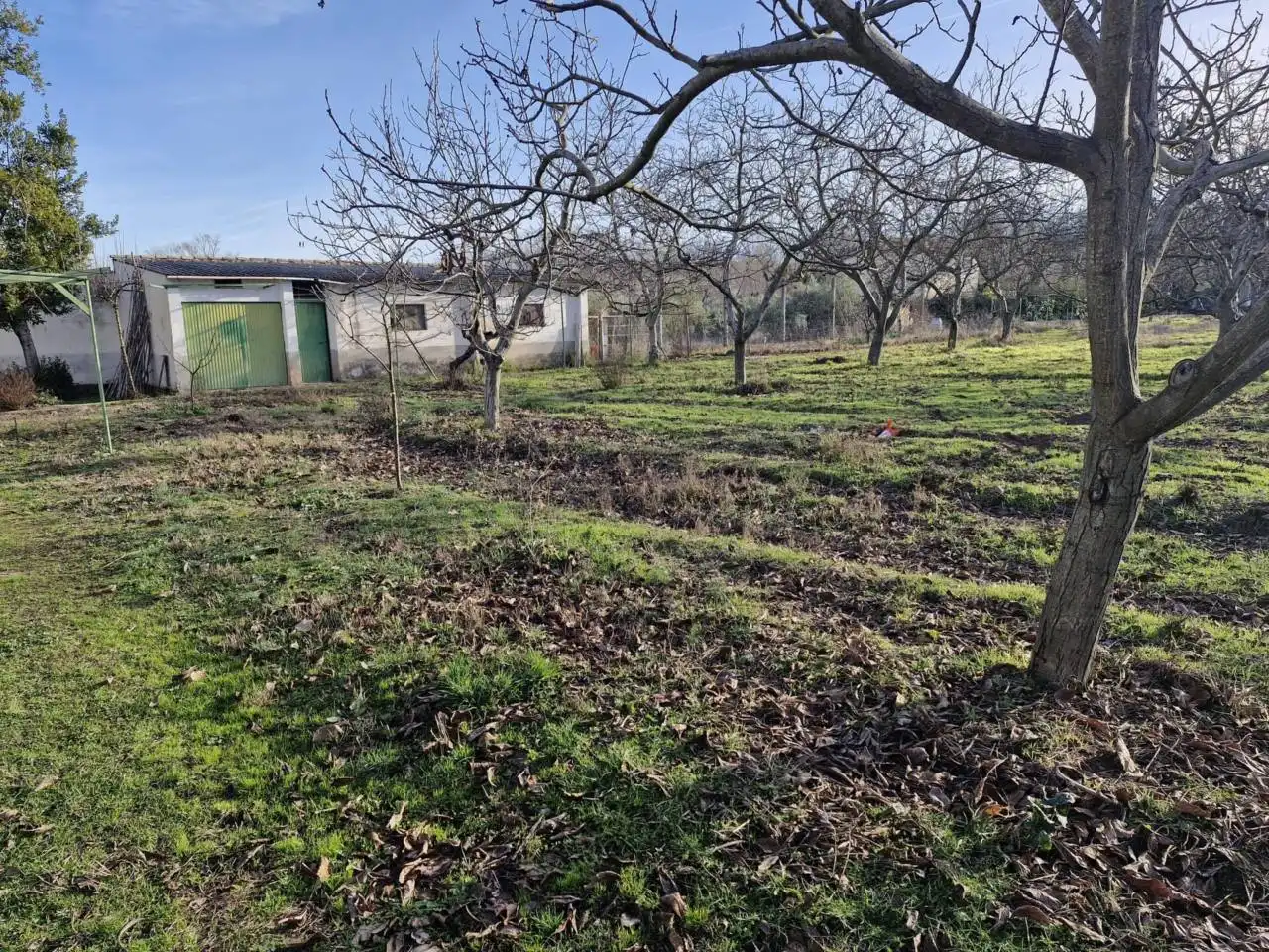 Rural land for sale in Calle DISEMINADO