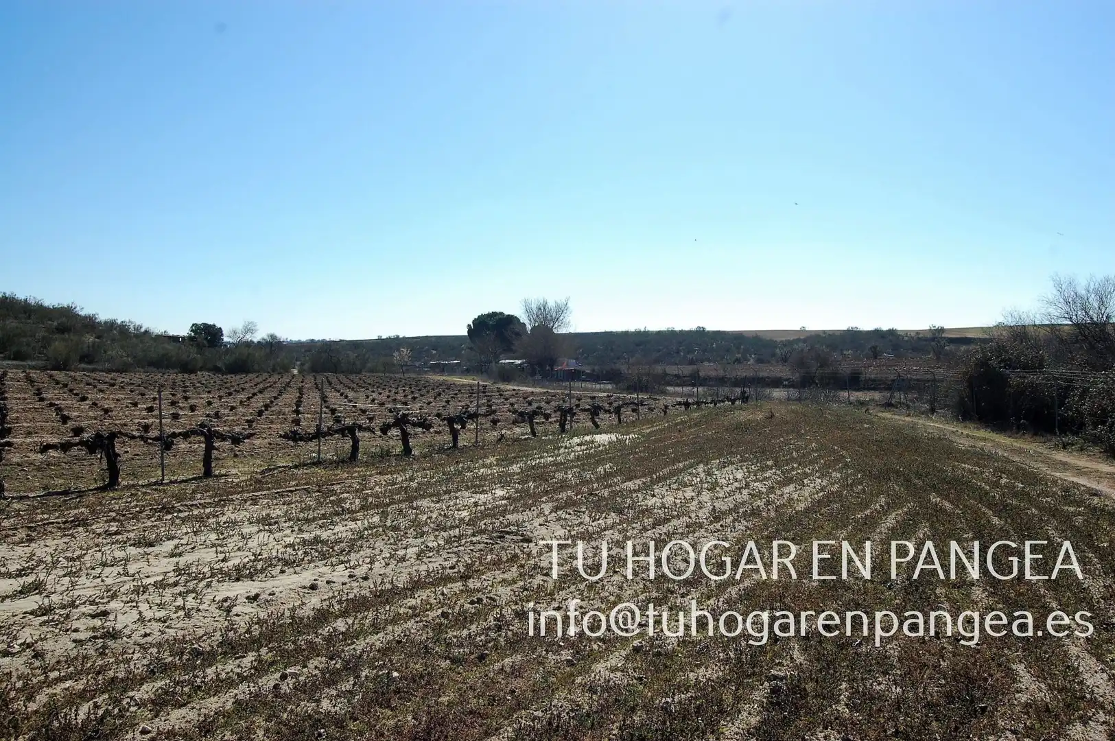 Rural land for sale in El Álamo, imagen 15
