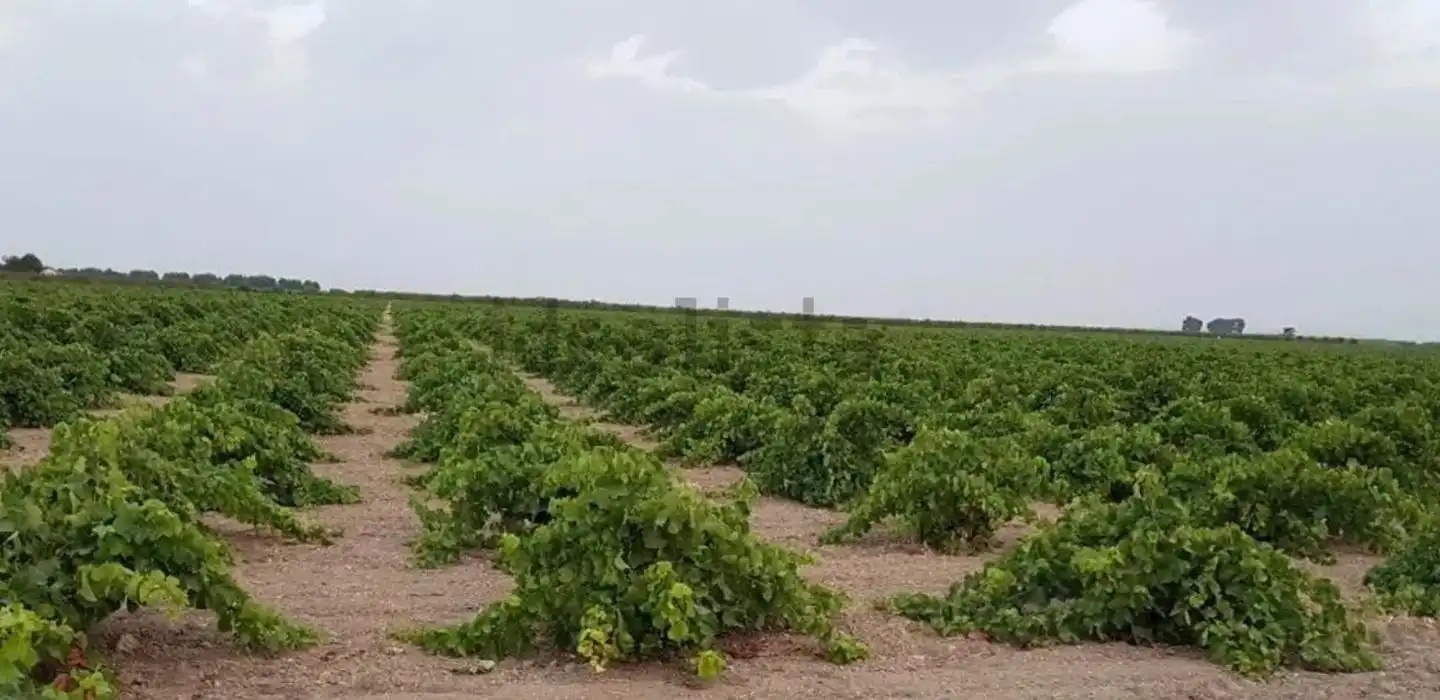 Rustikales Grundstück zum Verkauf in Terreno agricola