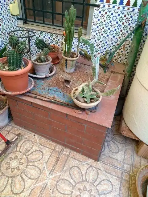 Casa con terrazza in vendita a Espiel, imagen 14