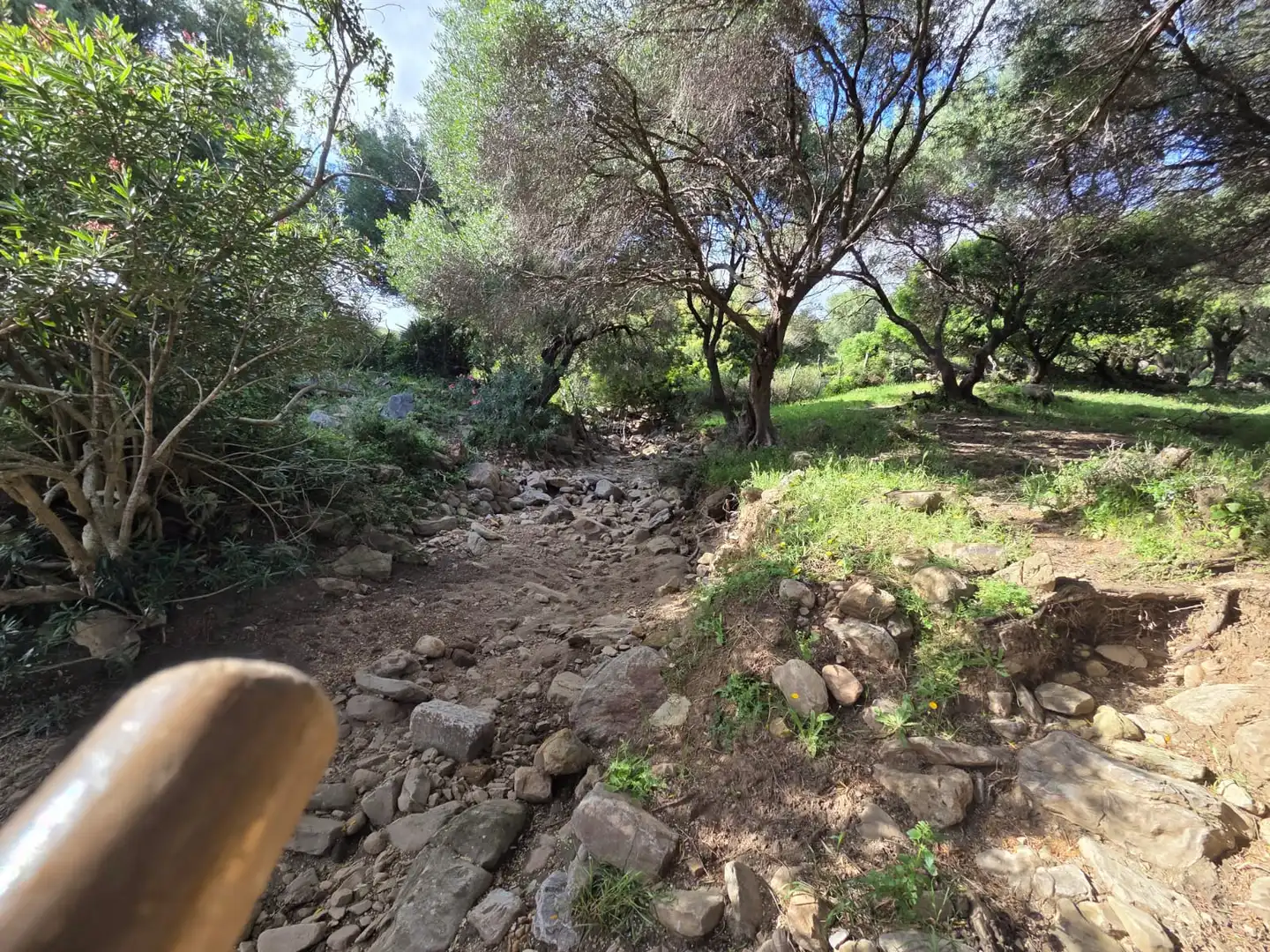 Terreno en venta en Tarifa