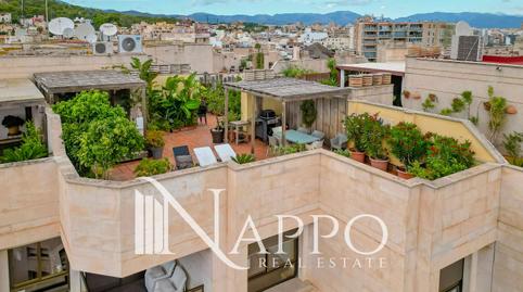 Foto 2 de Àtic en venda a El Terreno, Palma de Mallorca