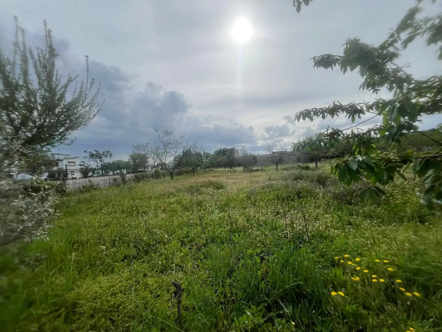 Terreno rustico in vendita a Ciudad Rodrigo, imagen 14