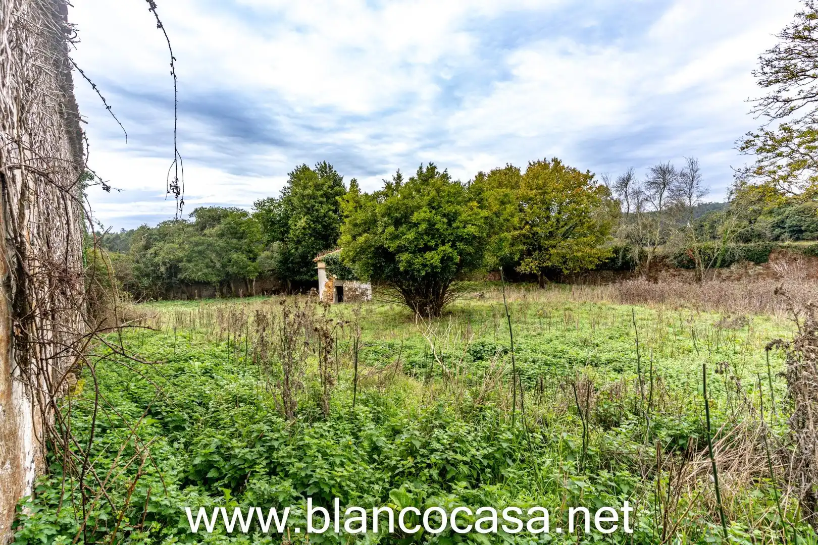 Finca rústica en venta en Coristanco con Jardín privado