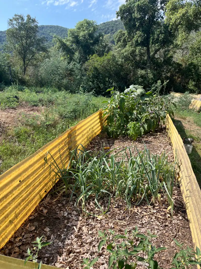 Jardín de Terreno en venta en Sant Martí de Llémena