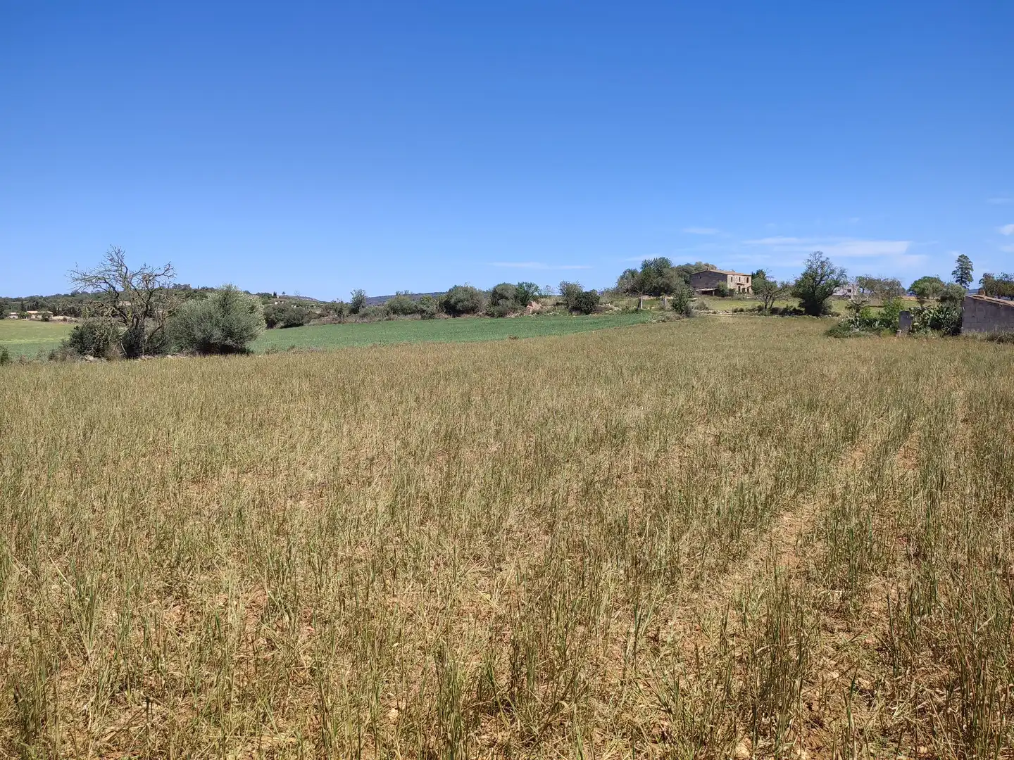 Rural land for sale in Vilafranca de Bonany, imagen 11