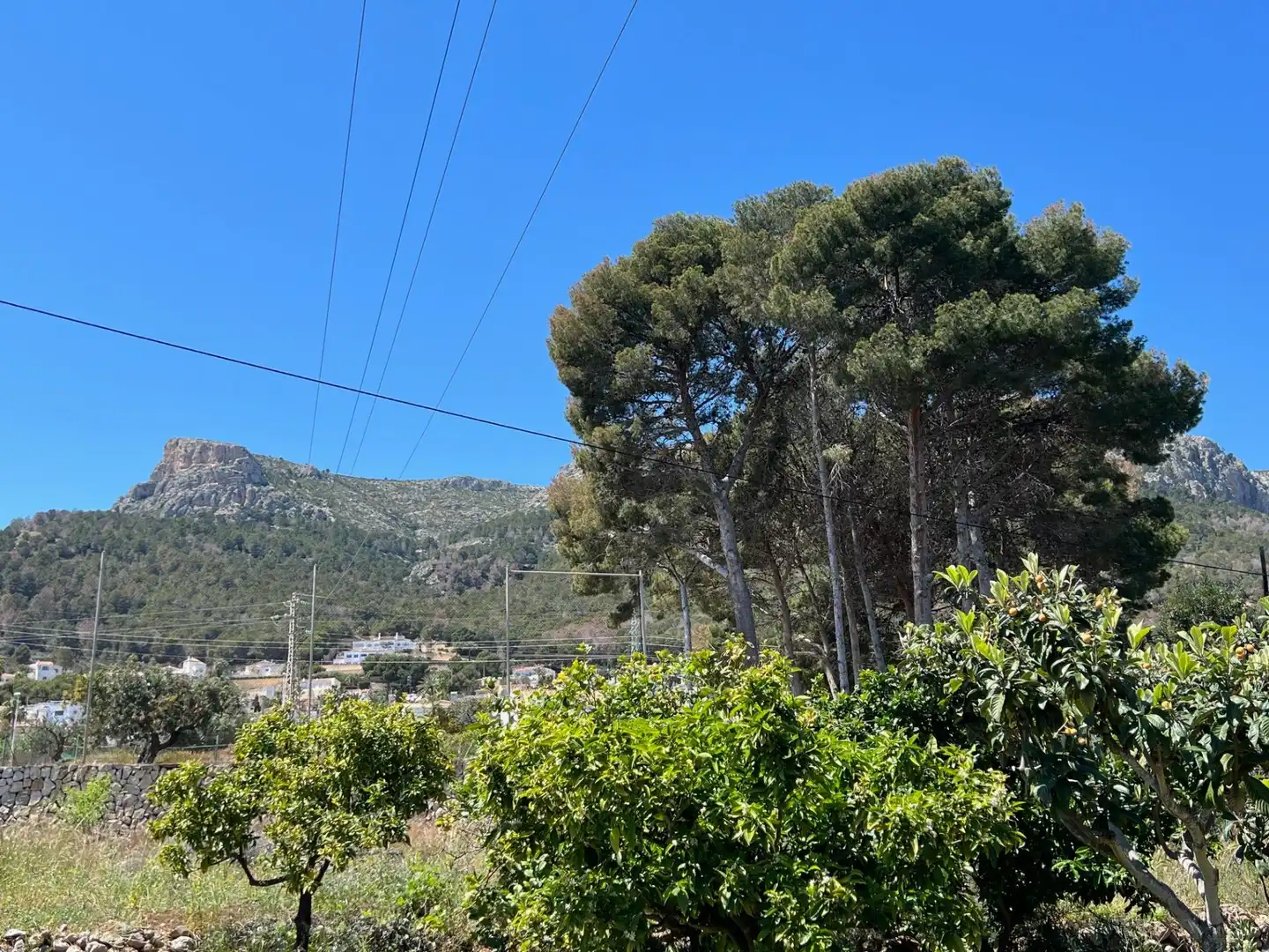 Houses for sale in Benicolada - Las Adelfas