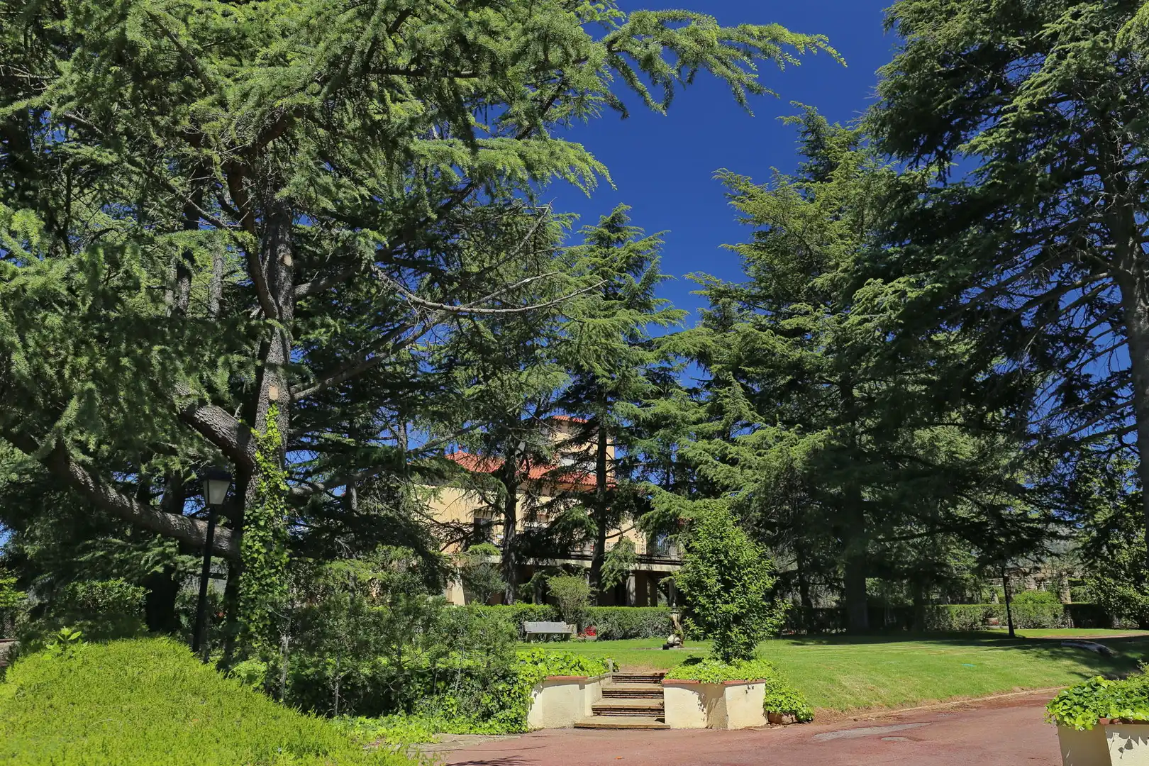 Jardí de Casa o xalet en venda en Terrassa amb Calefacció, Terrassa i Piscina