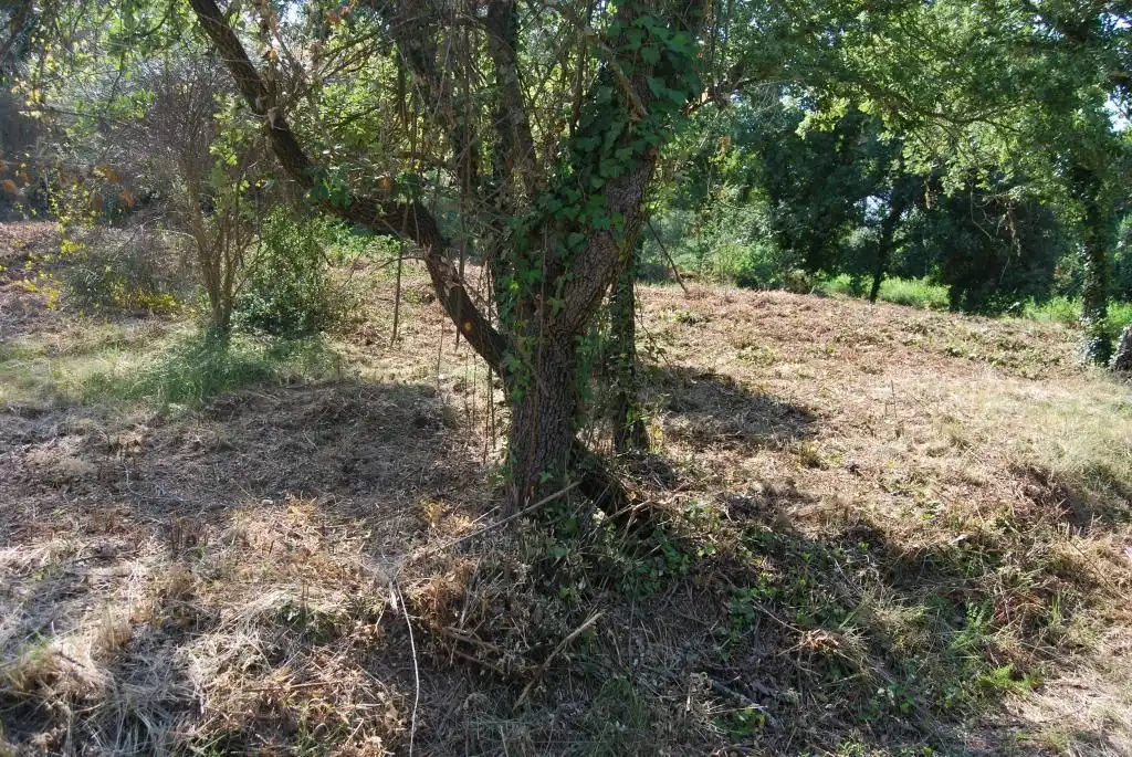 Terreny rústic en venda a Sant Celoni, imagen 11