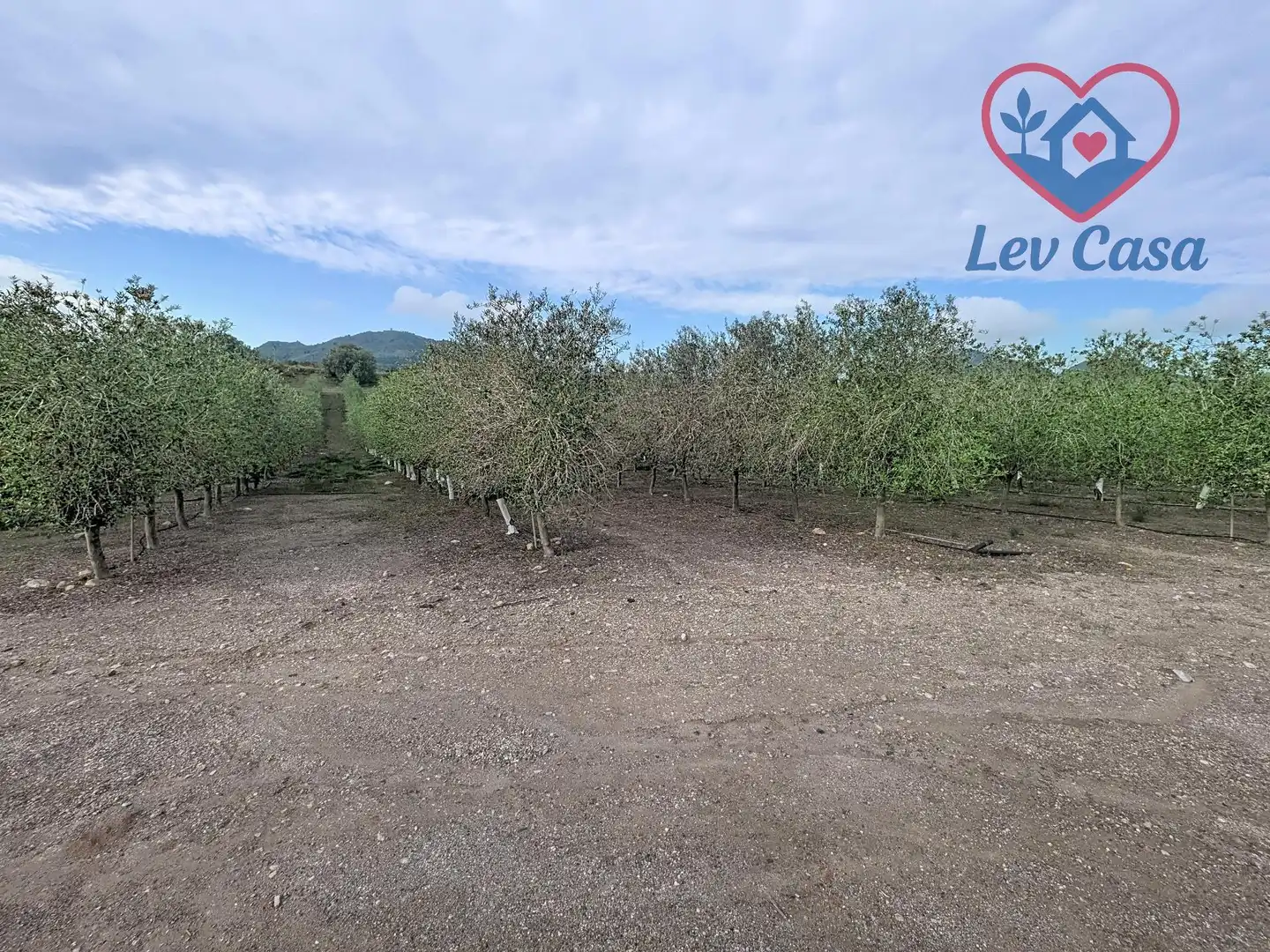 Casa o chalet en venta en Mazarrón