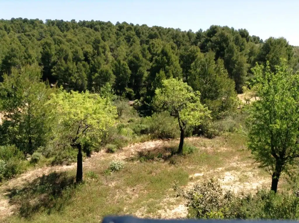 Terreni e lotti in vendita a Arens de Lledó, imagen 13