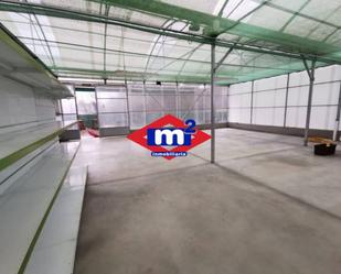 Industrial buildings for sale in Salceda de Caselas  with Alarm