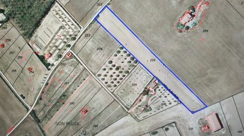 Finca de cultivo, immagine 5
