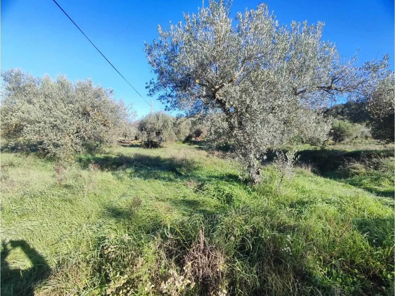 Residencial en venta en El Grado