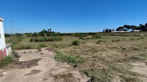 Terrenos a la venta en Sollana, immagine 3