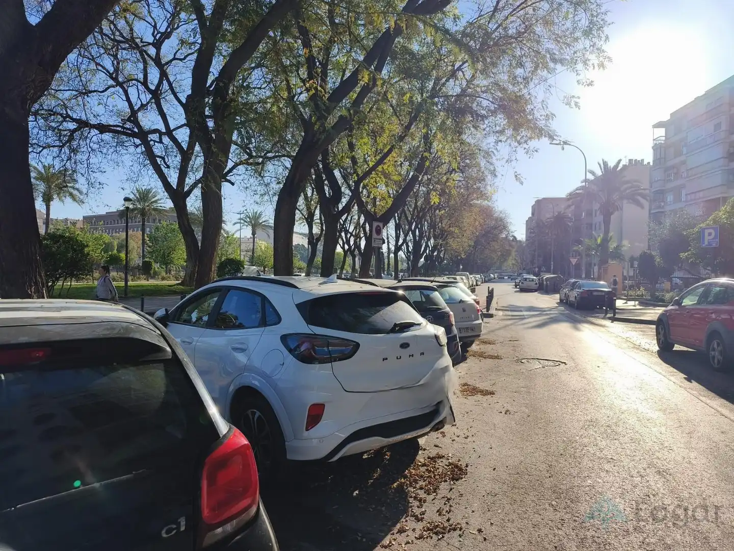 Gewerbefläche zur Miete in Sur, imagen 18