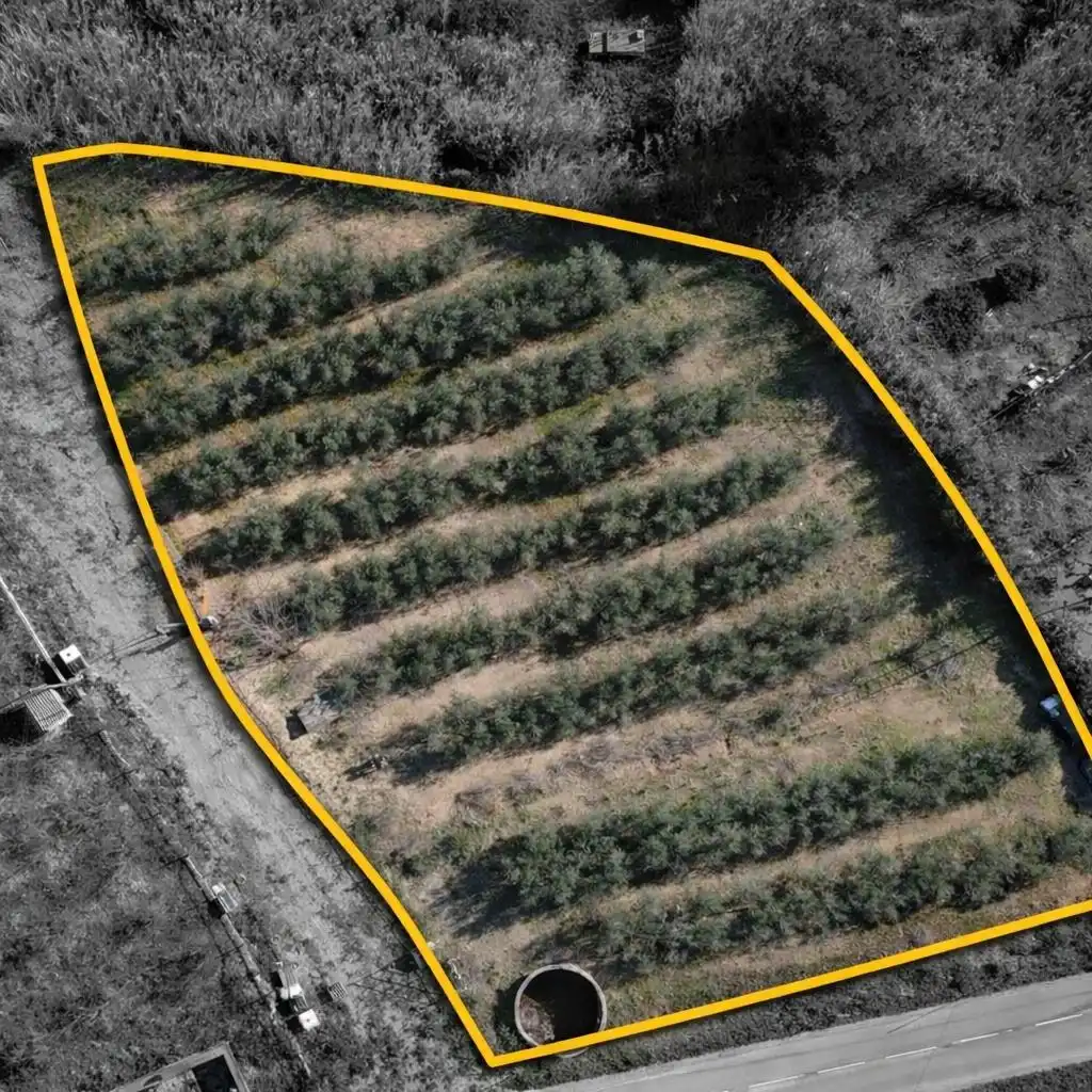 Lands and plots for sale in Carrer poligono 10, parcela 63