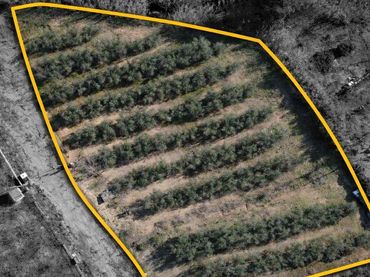 Terreni e lotti in vendita a Carrer poligono 10, parcela 63