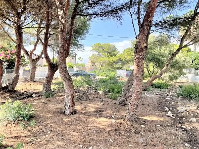 Terreny residencial en venda a Cala Pi - Vallgornera, imagen 6
