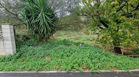 Foto 4 de Finca rústica en venta en Cerezo - Aspla - Torres, Torrelavega