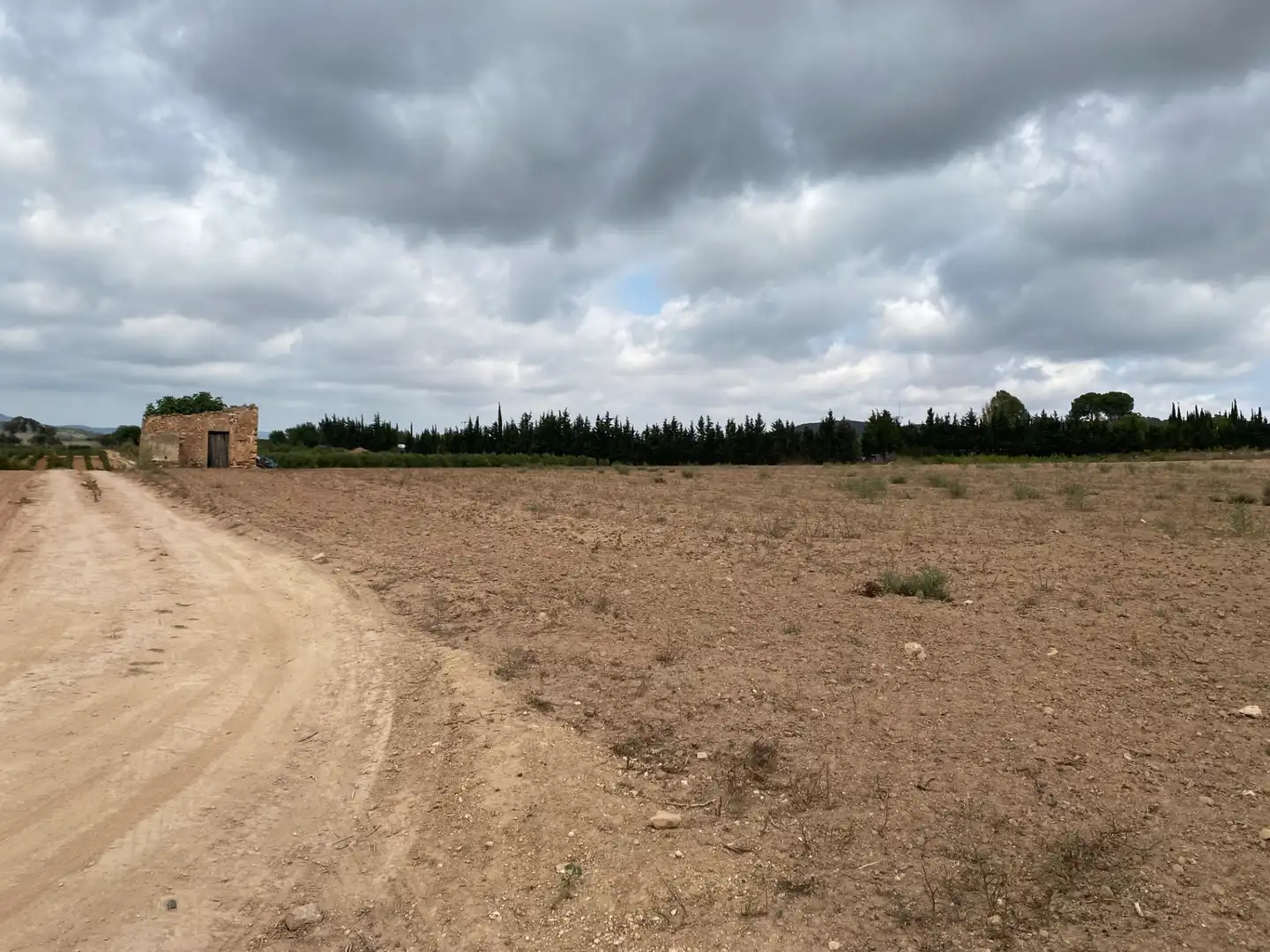 Terrain rustique à vendre à Carrer Camí de Montferri, imagen 4
