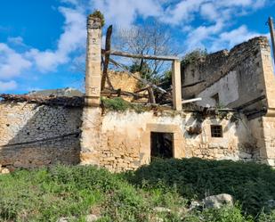 Exterior view of Land for sale in Peñamellera Baja