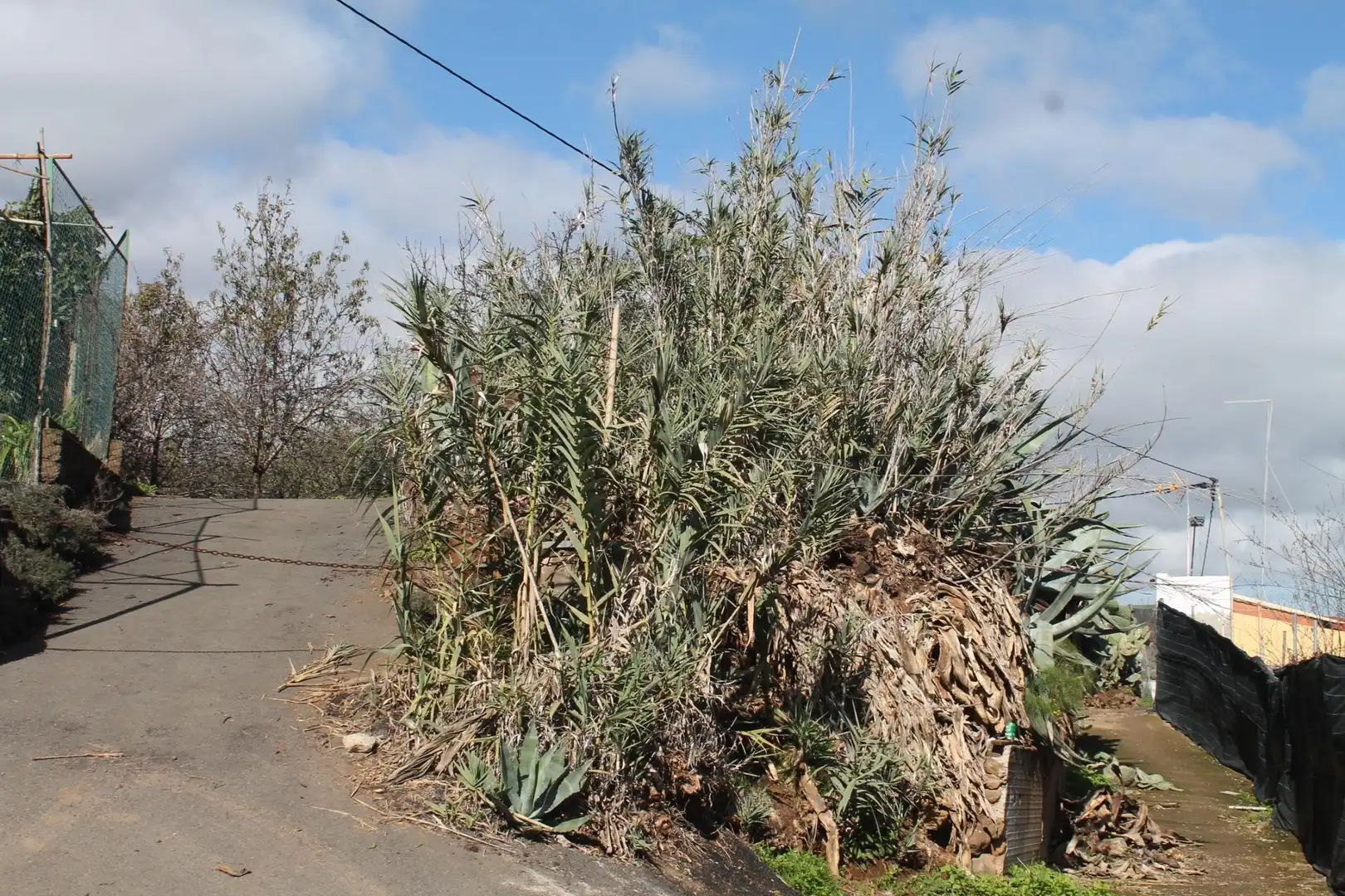Terreny rústic en venda a Valsequillo de Gran Canaria, imagen 36