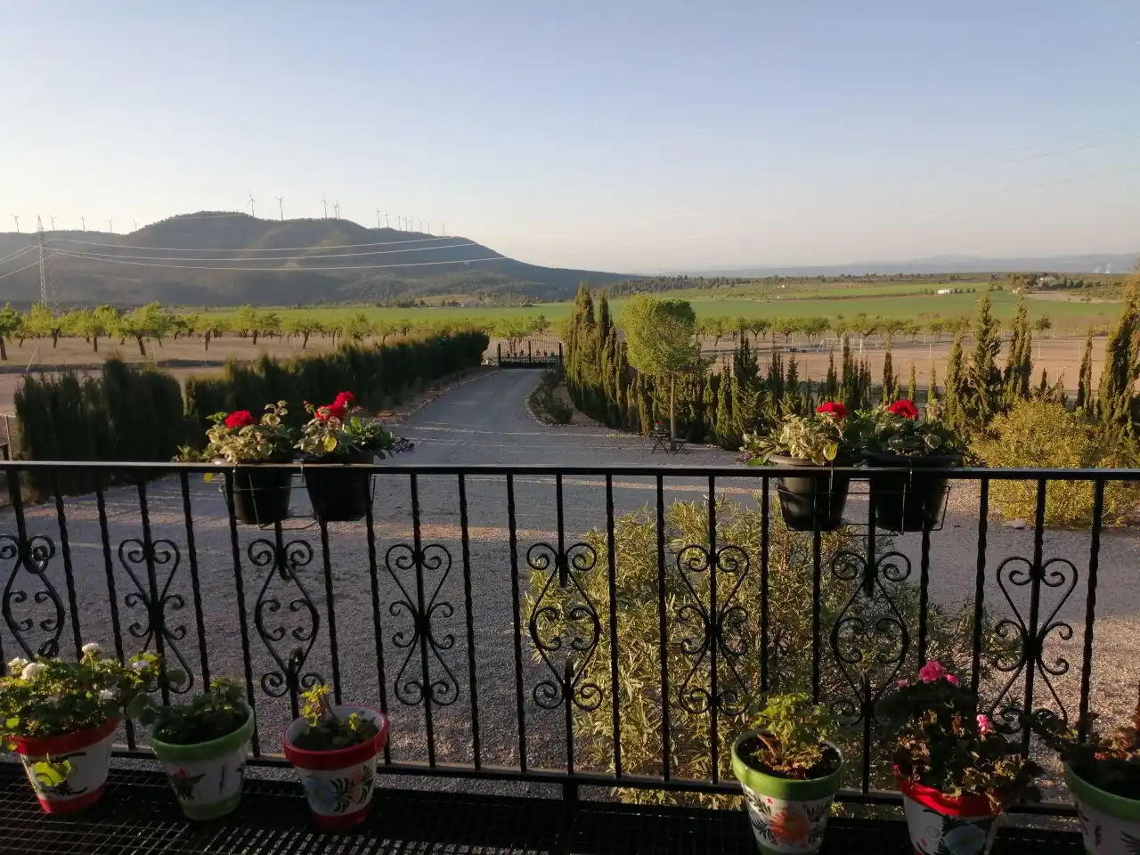Vista exterior de Finca rústica en venta en Jarafuel con Calefacción, Jardín privado y Amueblado
