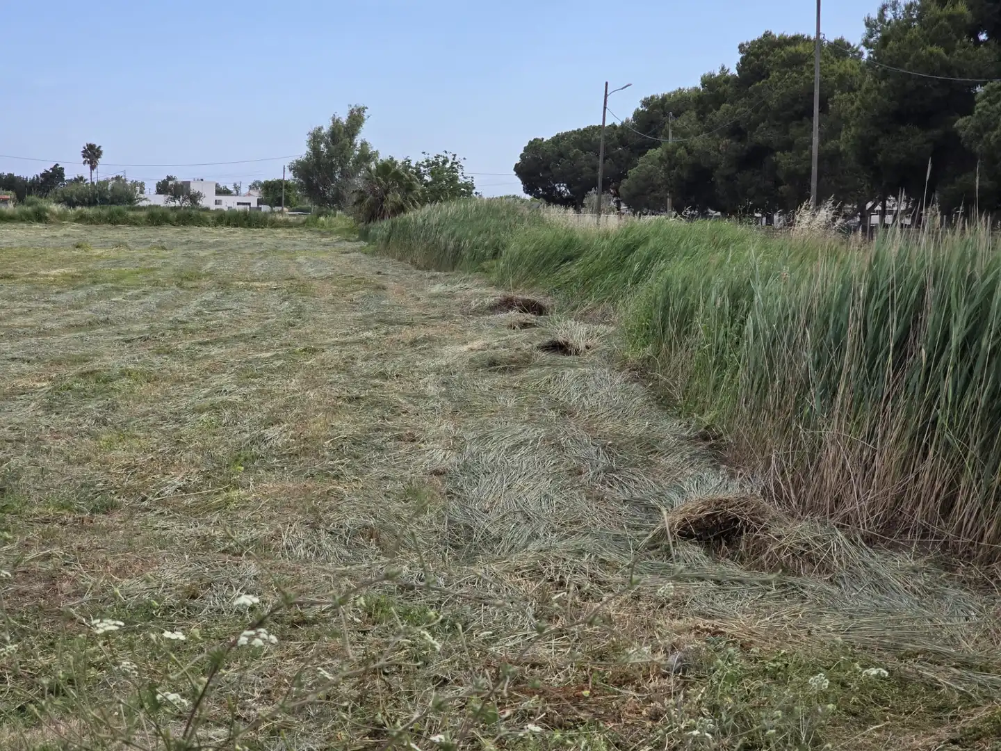 Terreno rustico in vendita a Carretera del Bovar 62, imagen 2
