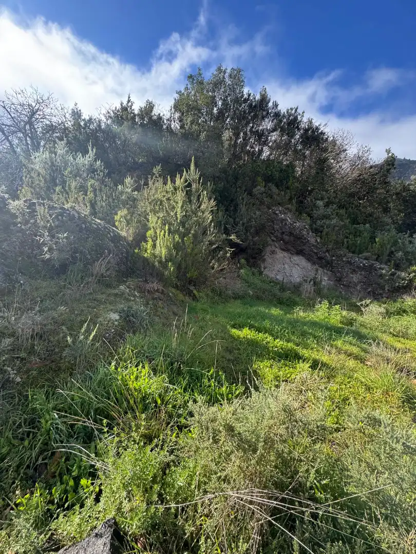 Terreny en venda en Los Realejos