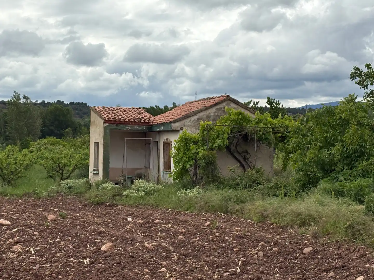 Terrenys i solars en venda a Alberite
