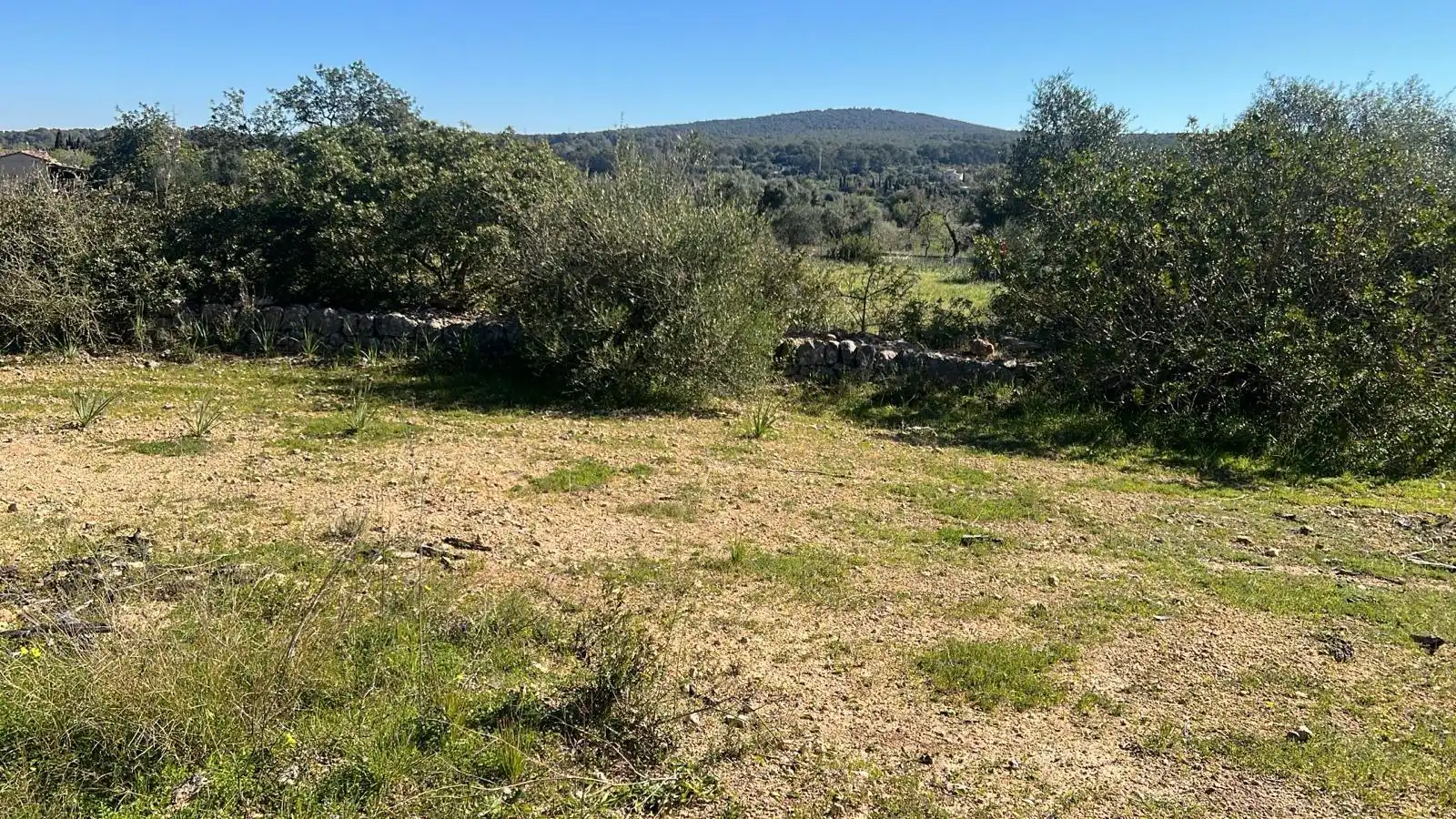 Grundstücke zum Verkauf in Marratxí, Illes Balears